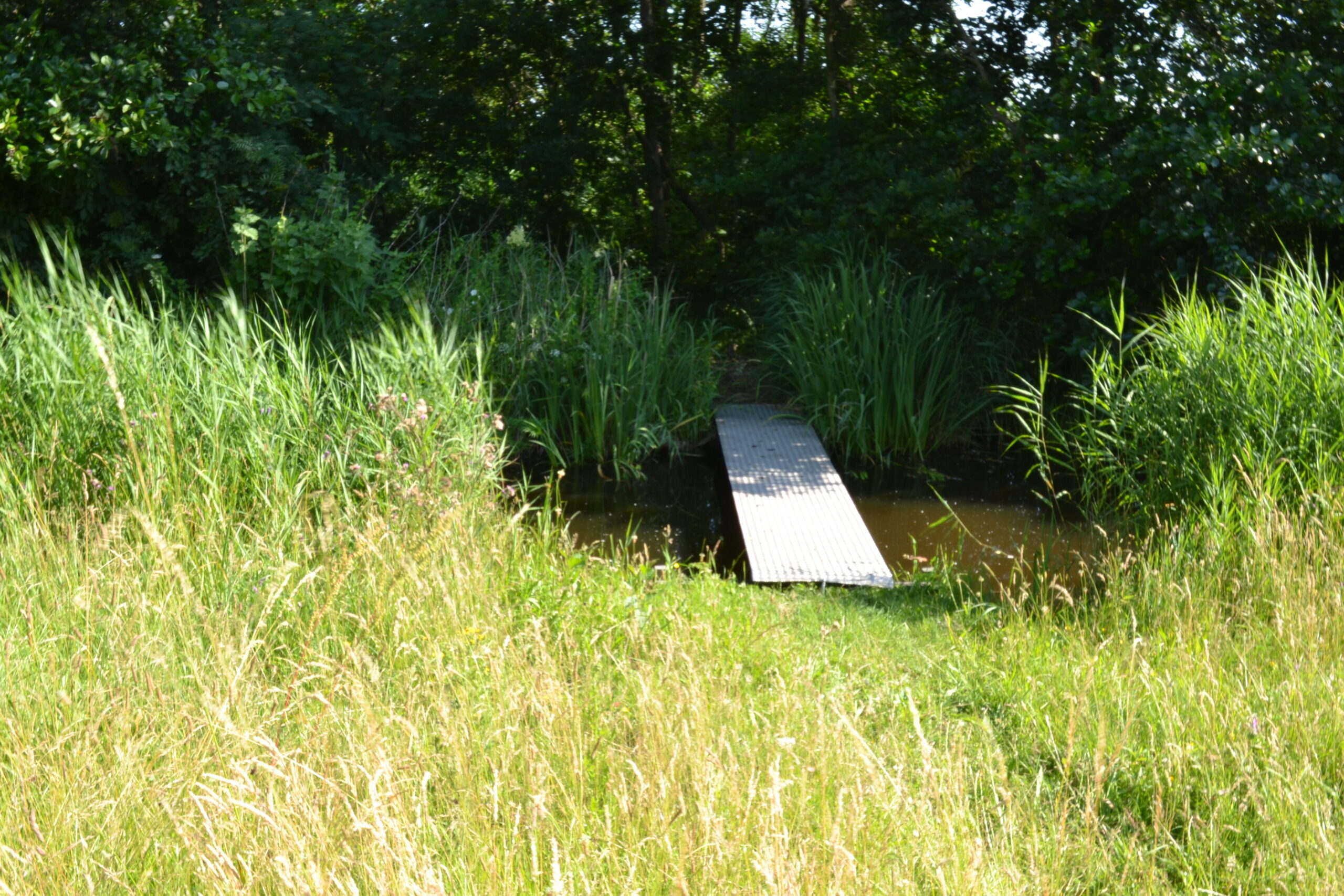 Natuurbeheer Kooiakkers