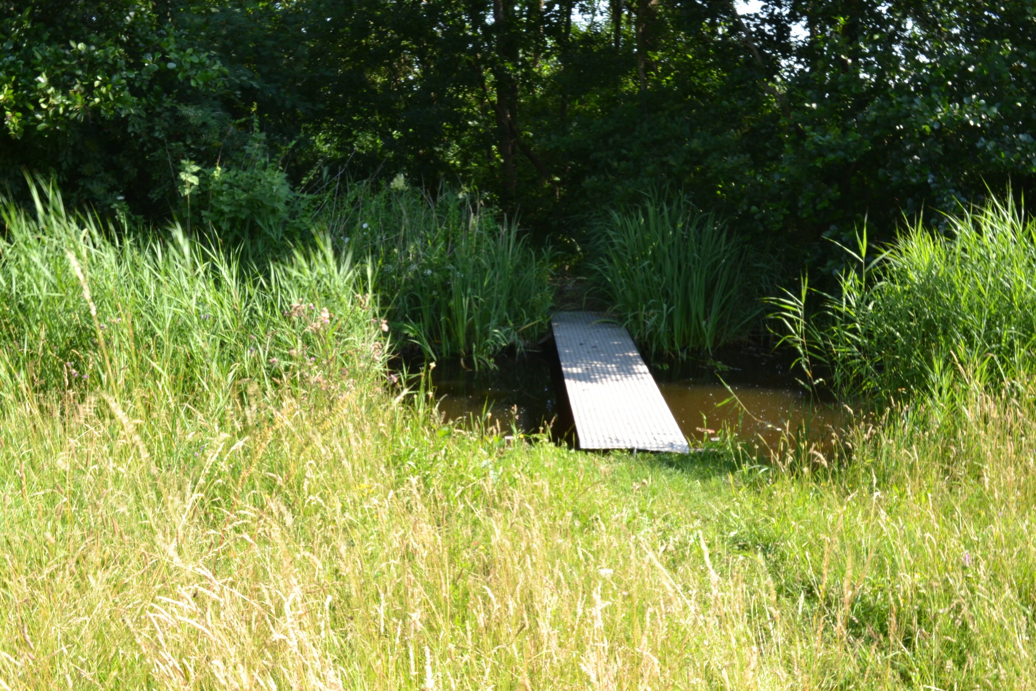 Natuurbeheer Kooiakkers